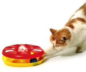 Karlie Kitty ROUND ABOUT Spielzeug - 24 cm