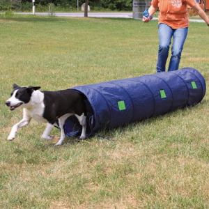 Trixie Agility Tunnel fr kleine Hunde / Welpen